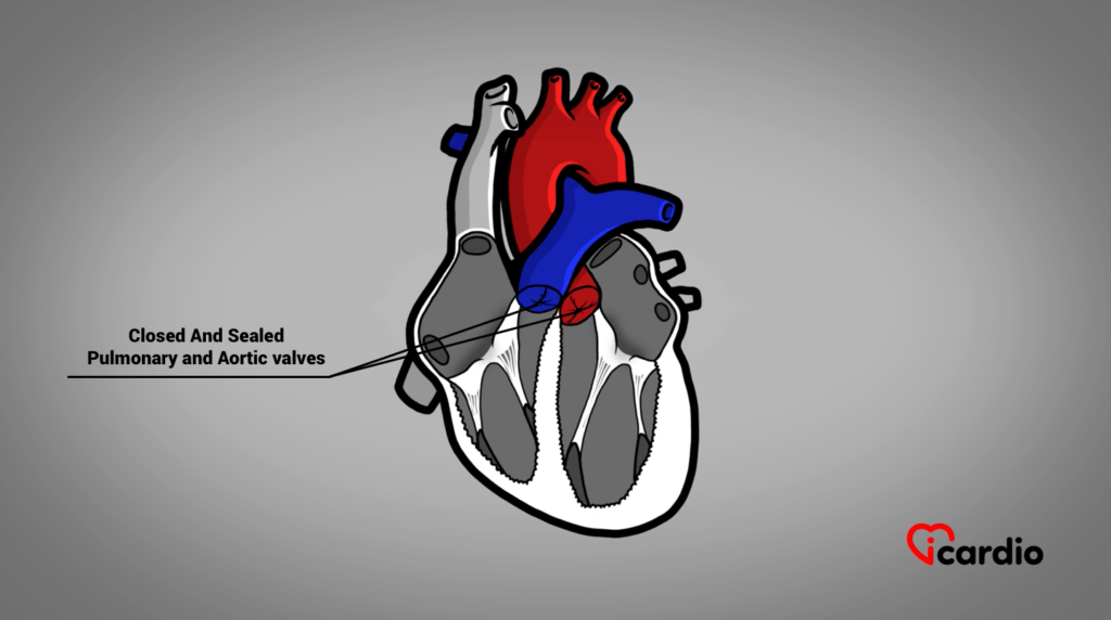 The Heart, from Every Angle – Icardio